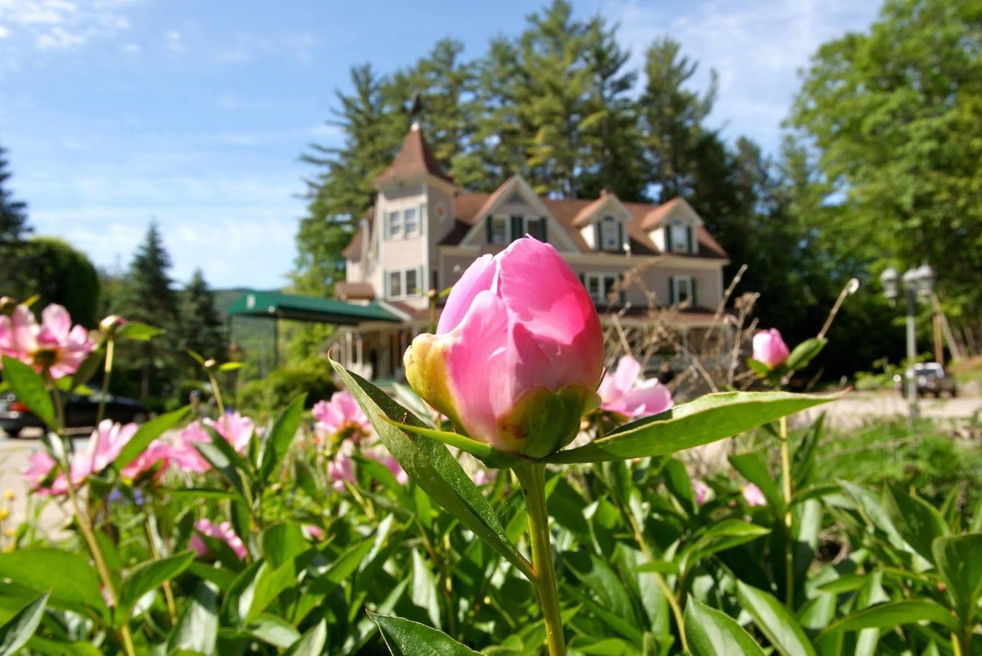 The Bernerhof Inn Bartlett Exterior photo